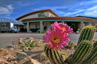 mesquite growers nursery tucson