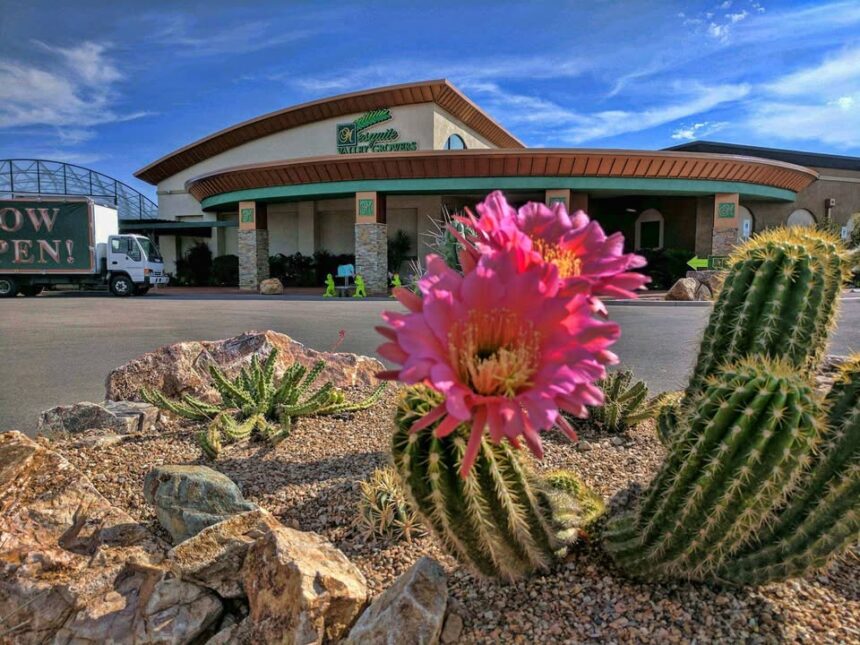 mesquite growers nursery tucson