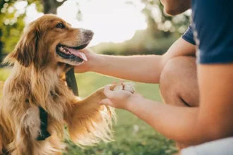 PuppyGirlXD: The Rise of a New Influencer in the Pet Industry