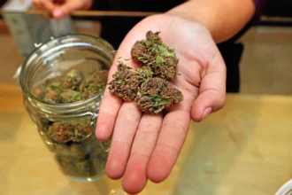maryjays dc weed dispensary juice bar washington reviews