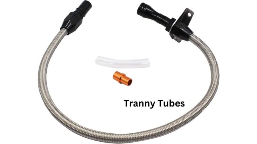 tran ny tube