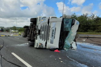 m6 news