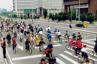 The Ultimate Guide to the Lifestyle of a City