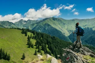 Your Ultimate Guide to Using Capital One Travel
