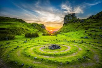 What Is It? A Guide to Understanding the World Around You