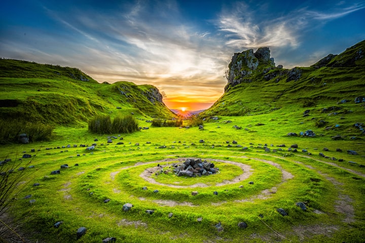 What Is It? A Guide to Understanding the World Around You