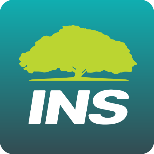 Select The Ultimate Guide to Understanding i̇ns The Ultimate Guide to Understanding i̇ns