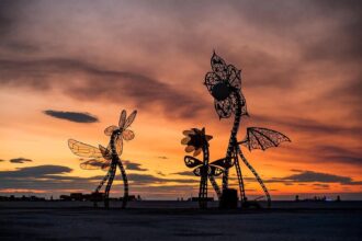 Hicetnunc Art: A Deep Dive into the Eco-Friendly NFT Revolution