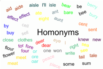 Fun with Words: A Deep Dive into Samples of Homonyms