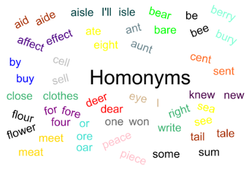 Fun with Words: A Deep Dive into Samples of Homonyms