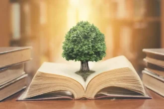 Unlocking Wisdom: A Guide to Understanding Bible Verses