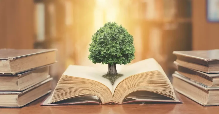 Unlocking Wisdom: A Guide to Understanding Bible Verses