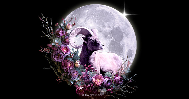 Features of Aries Zodiac Sign