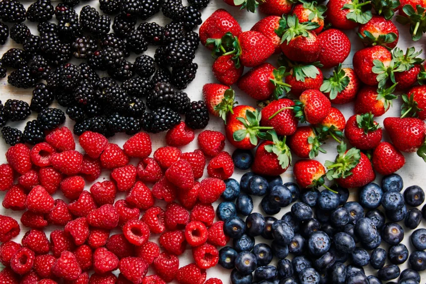 What Is Ракитовица? A Guide to This Amazing Super Berry