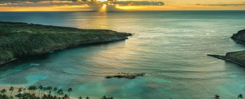 Mahalo Meaning: More Than Just “Thank You”