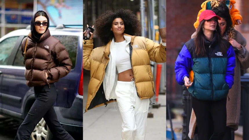 Your Ultimate Guide to the North Face Jacket