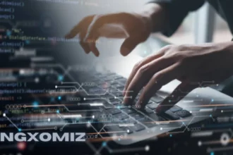 The Ultimate Guide to Understanding kingxomiz