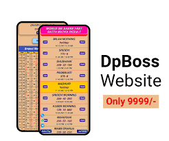 What Is dpboss? A Deep Dive into the Digital Information Hub