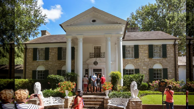 A Visual Tour: Exploring the Magic of Graceland Pictures