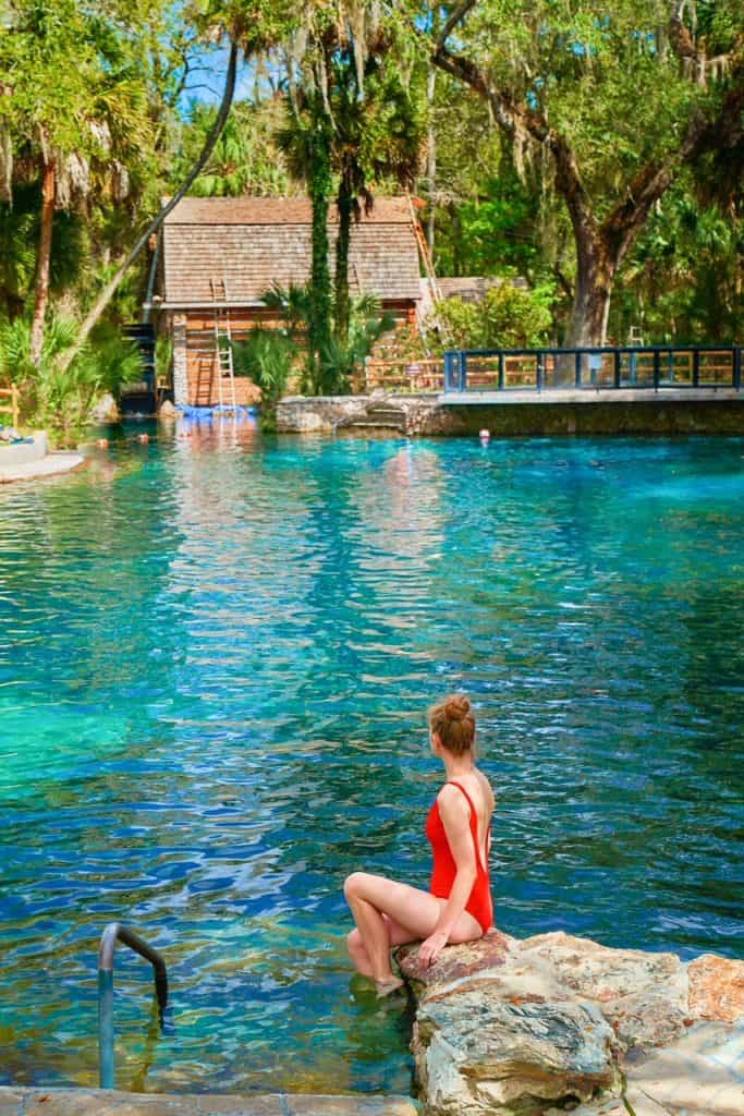 Planning Your Visit to Juniper Springs