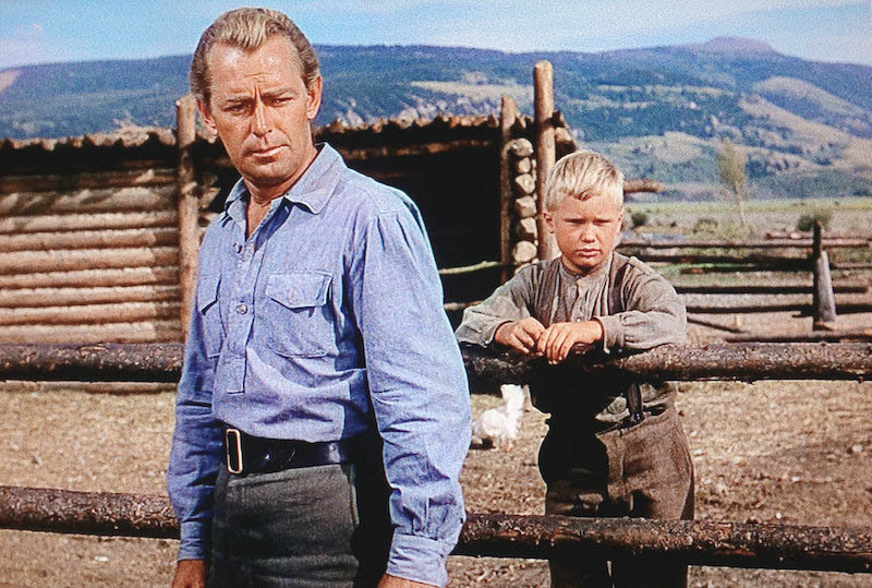 Shane: The Enduring Legacy of a Name and a Legend