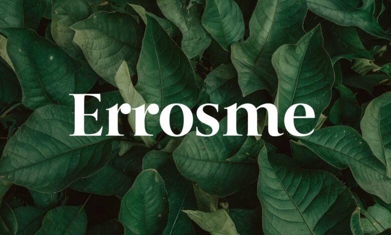 Erosme: A Comprehensive Guide to Understanding Its Impact