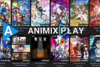 The Story of Animixplay: What Happened to the Anime Hub?