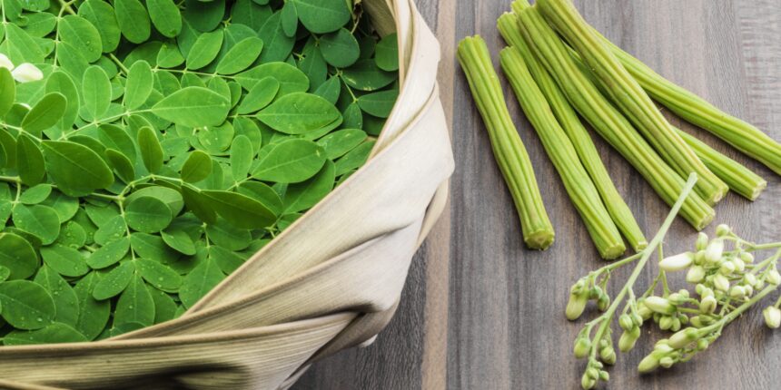 The Surprising Advantages of Moringa Oleifera: A Guide to the Miracle Tree