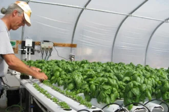 MyGreenBucks Kenneth Jones: Your Guide to Financial Wellness