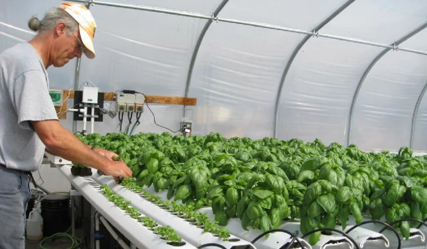 MyGreenBucks Kenneth Jones: Your Guide to Financial Wellness