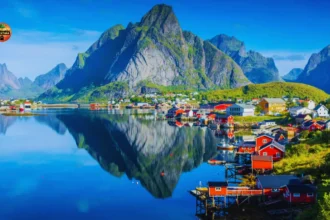 What is Nerwey and Why is it Gaining Attention?