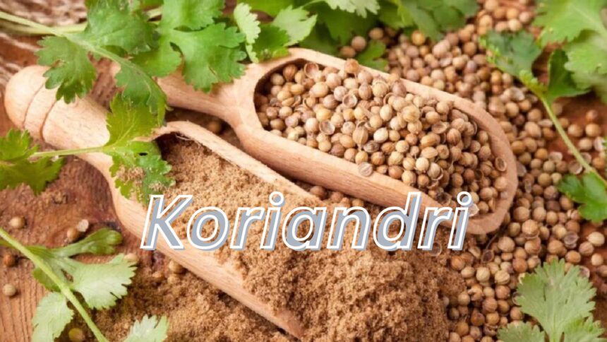 koriandri