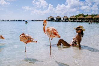 Your Ultimate Guide to the Best Things to Do in Aruba