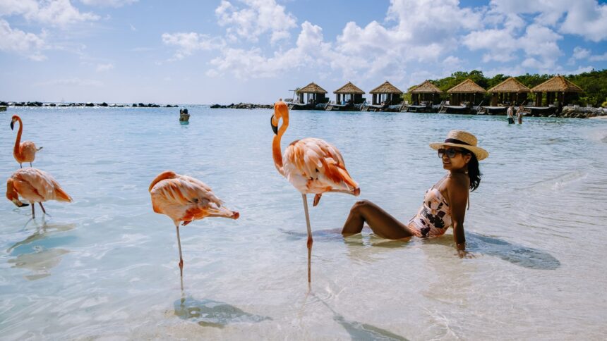 Your Ultimate Guide to the Best Things to Do in Aruba