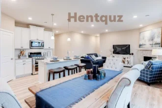 What Is Hentquz? A Complete Guide to Understanding This Emerging Trend