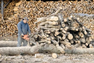 Everything You Need to Know About Buying a Cord of Firewood