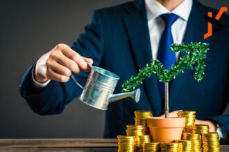 pedrovazpaulo wealth investment