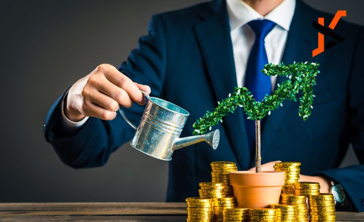 pedrovazpaulo wealth investment