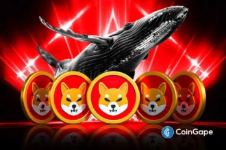 Understanding Shiba Inu Whales Activity and Its Market Impact