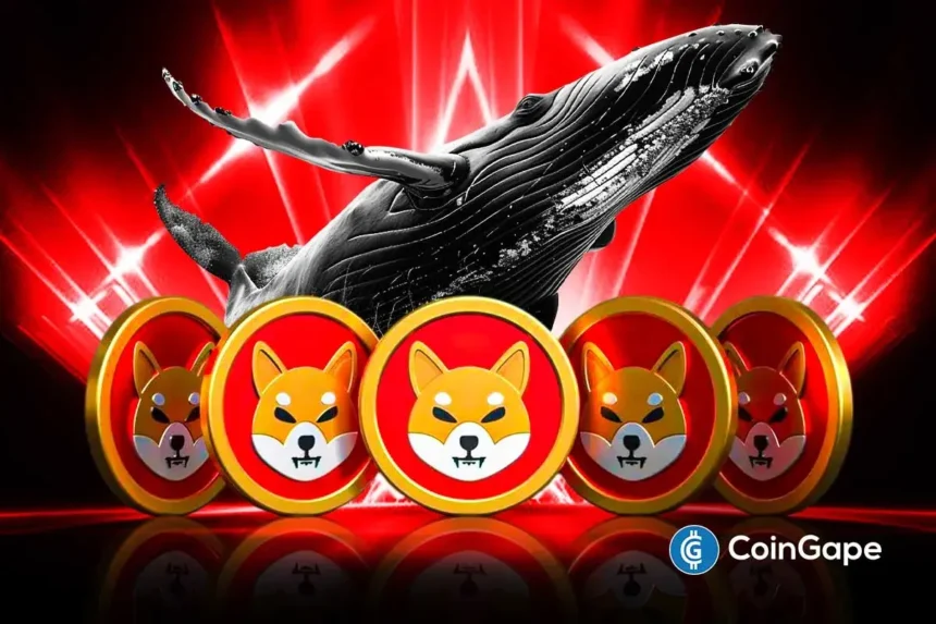 Understanding Shiba Inu Whales Activity and Its Market Impact