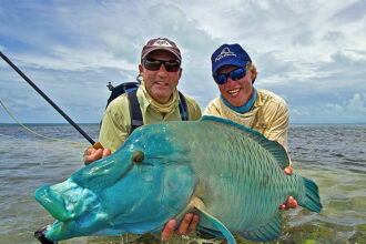 The Majestic Napoleon Fish: A Gentle Giant of the Reef