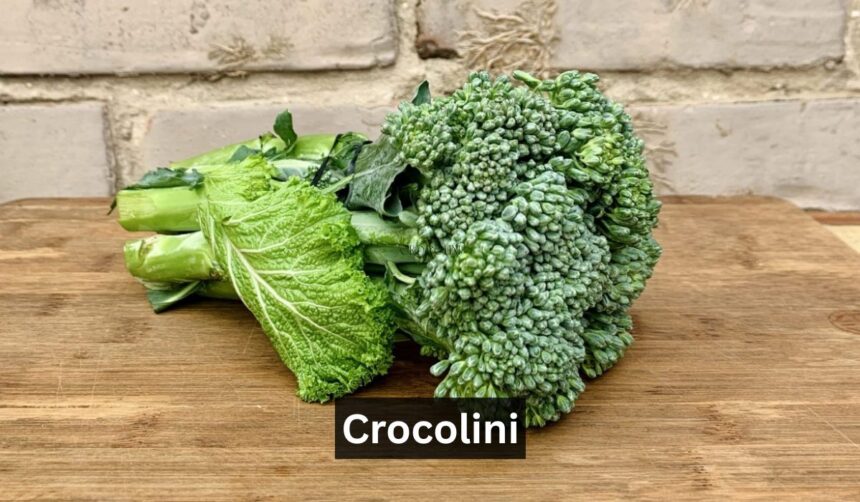 crocolini