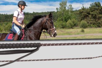 The Ultimate Guide to the Riding Crop: Uses, Types, and Proper Technique