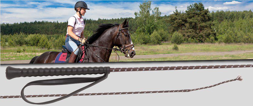 The Ultimate Guide to the Riding Crop: Uses, Types, and Proper Technique