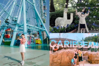 An In-Depth Guide to Korea Pools: Culture, Recreation, and More