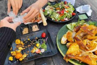 What is Çeciir? Your Complete Guide to Mastering It