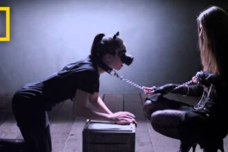 Tabootube: A Deep Dive into the Viral Phenomenon