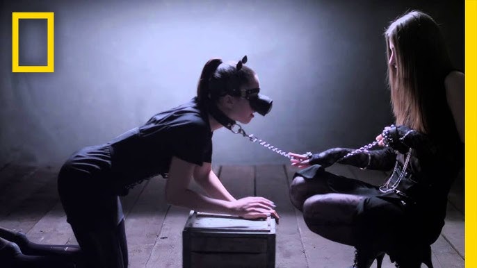 Tabootube: A Deep Dive into the Viral Phenomenon