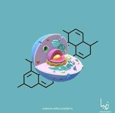 Nukleotidy: The Building Blocks of Life Explained