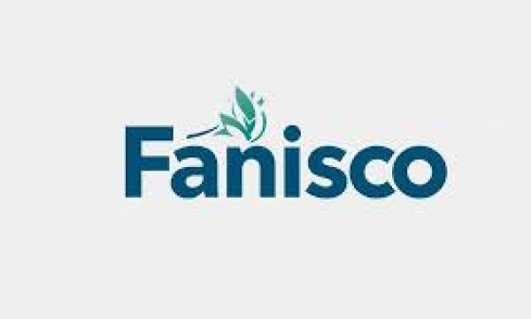Fanisco: Revolutionizing the Digital Landscape
